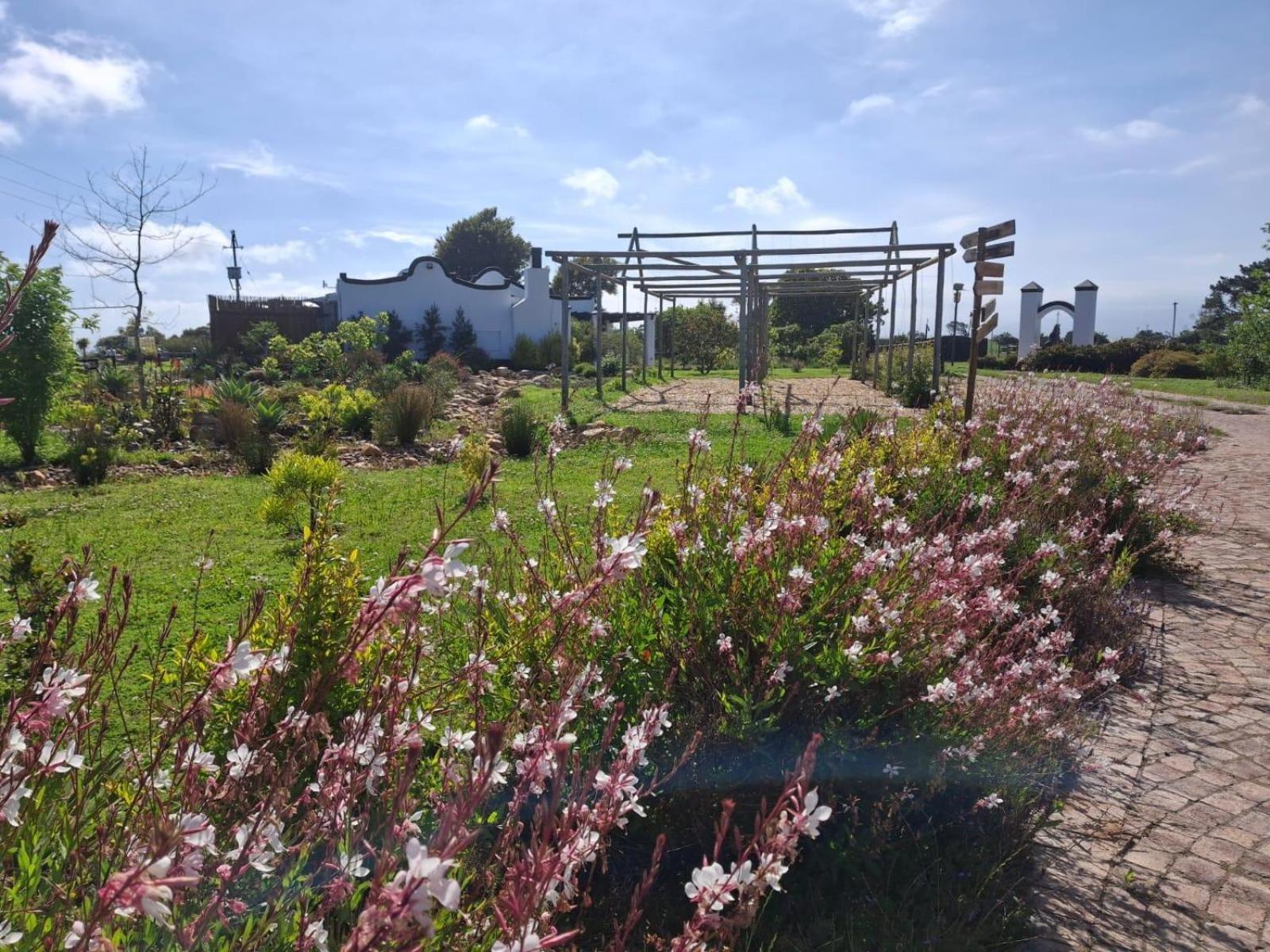 Dunkes Organic Equestrian Estate Apartment George Bagian luar foto