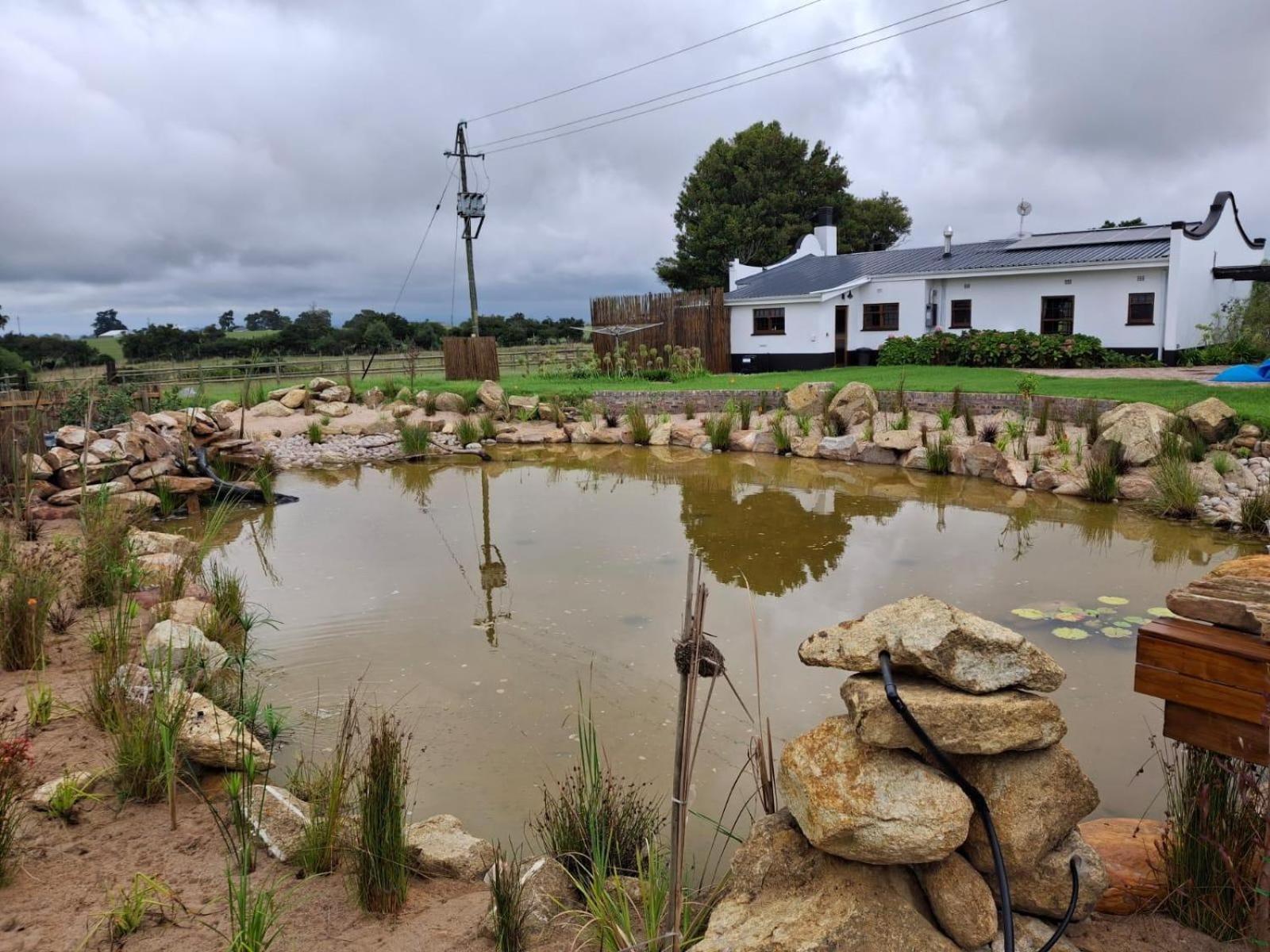 Dunkes Organic Equestrian Estate Apartment George Ruang foto